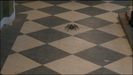 Noyontara - 11th March 2026